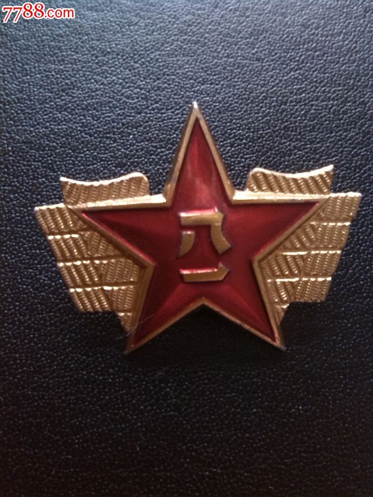 空军八一领花
