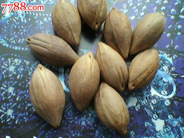 雕刻用的黑榄核60斤