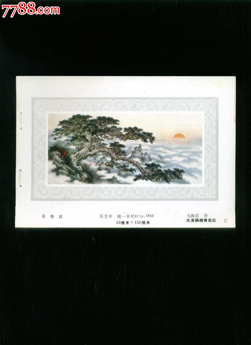 长寿松--马秋岩作