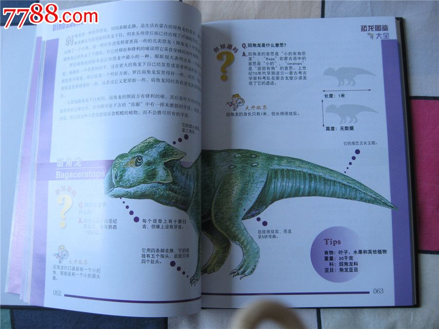 恐龙宝贝进化图鉴大全图片