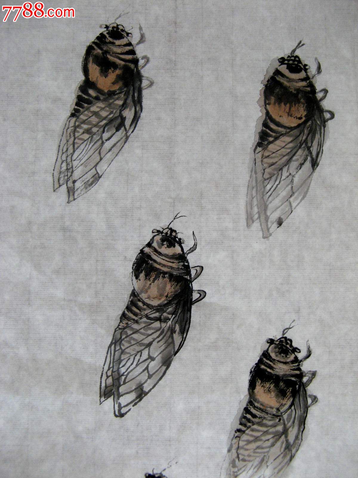 不错的老画家尺半条幅知了画稿