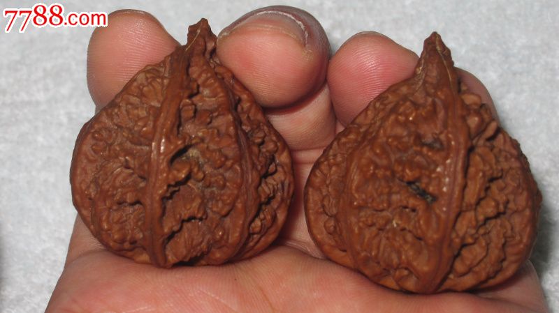 正宗吉林老树蚂蚁纹秋子【大小有差异】