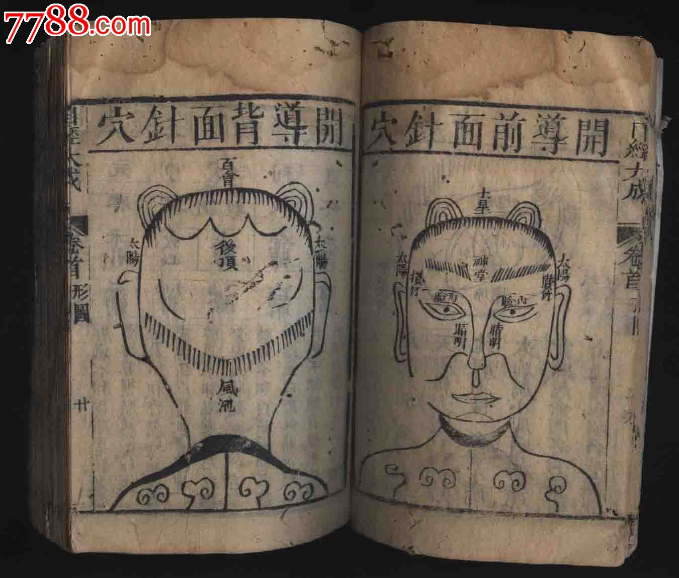 黄庭_黄庭位置