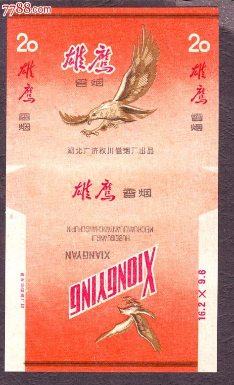 飞鹰