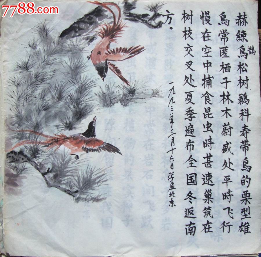 【阎兆生水彩画-原画稿】临摹钱行健大师·百鸟图