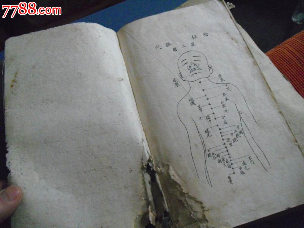 2016-2021年中国针灸材料市场深度调研及投资策略分析报告(目录)