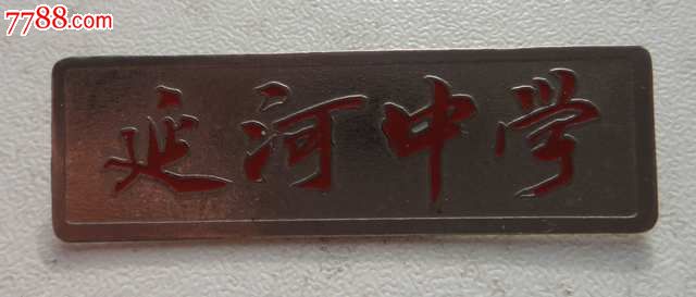 延河中学师德建设工作计划(2009-2010上)