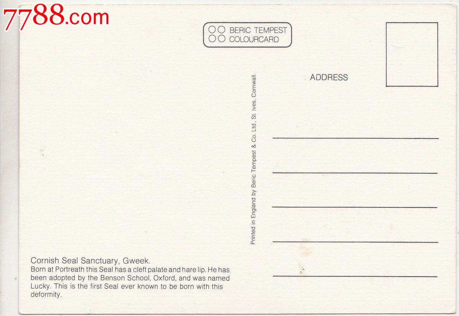 外国原版明信片