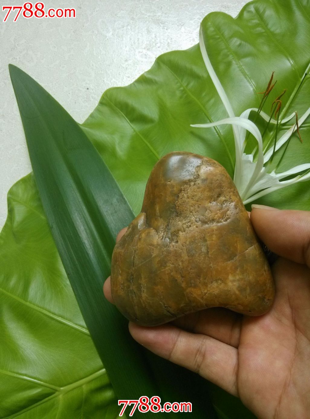 海南石头品种大全图图片