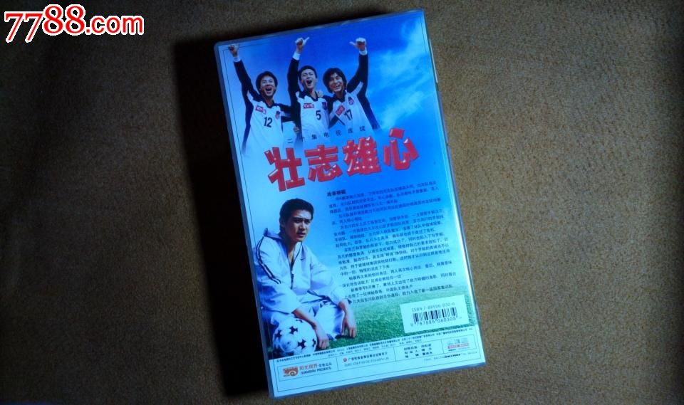 正版绝版电视剧壮志雄心20vcd陆毅张庭乔振宇任达华范志毅