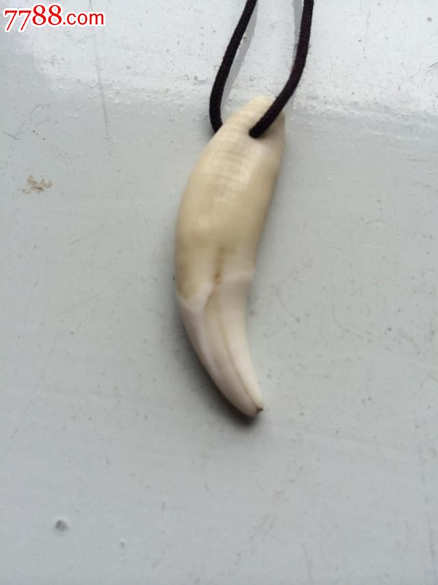 一个狼牙-----有点裂