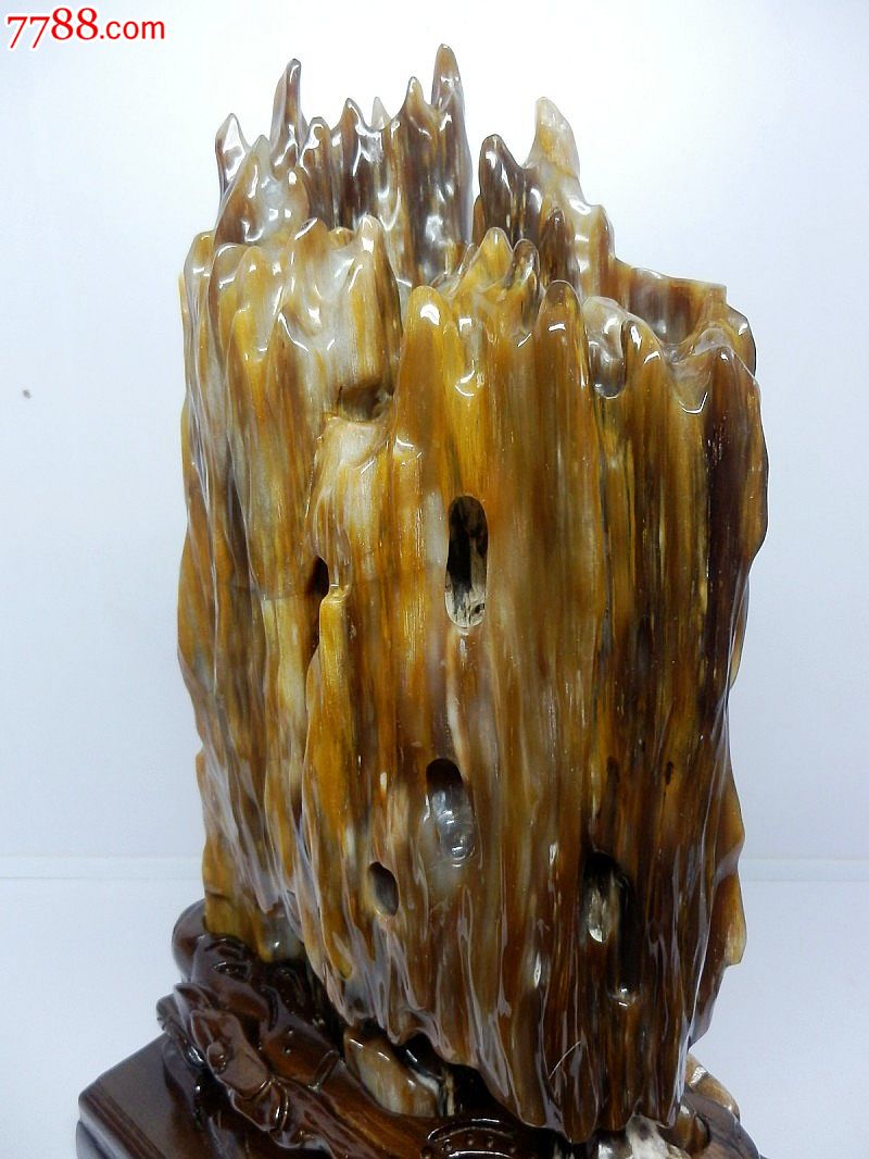 京城誉恒轩树化玉精品老坑种水料天然缅甸木化玉收藏植物化石舍利