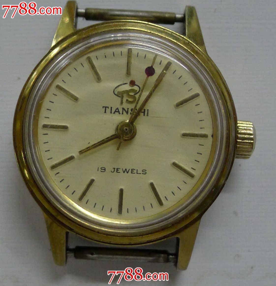 天狮女表-手表/腕表-7788商城