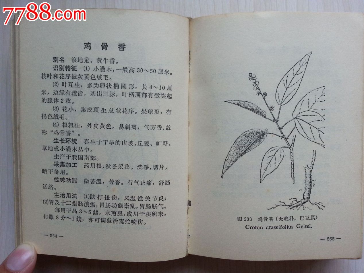 常用中草药手册