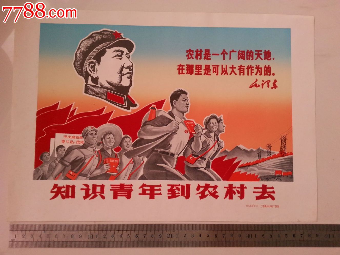 知识青年到农村去