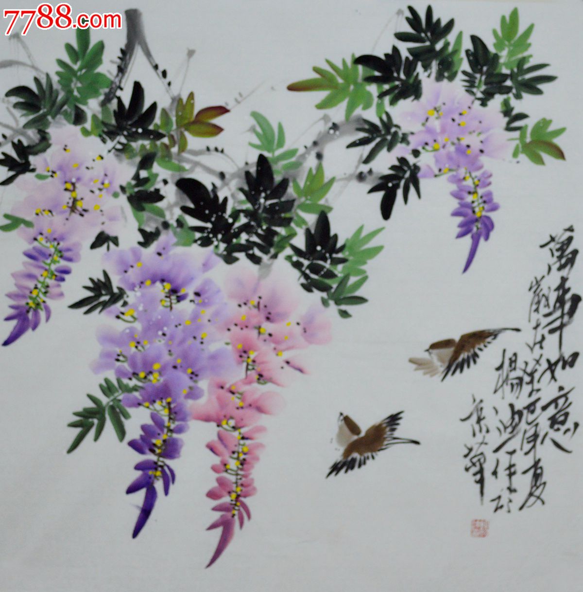 四尺斗方花鸟画《紫藤图》