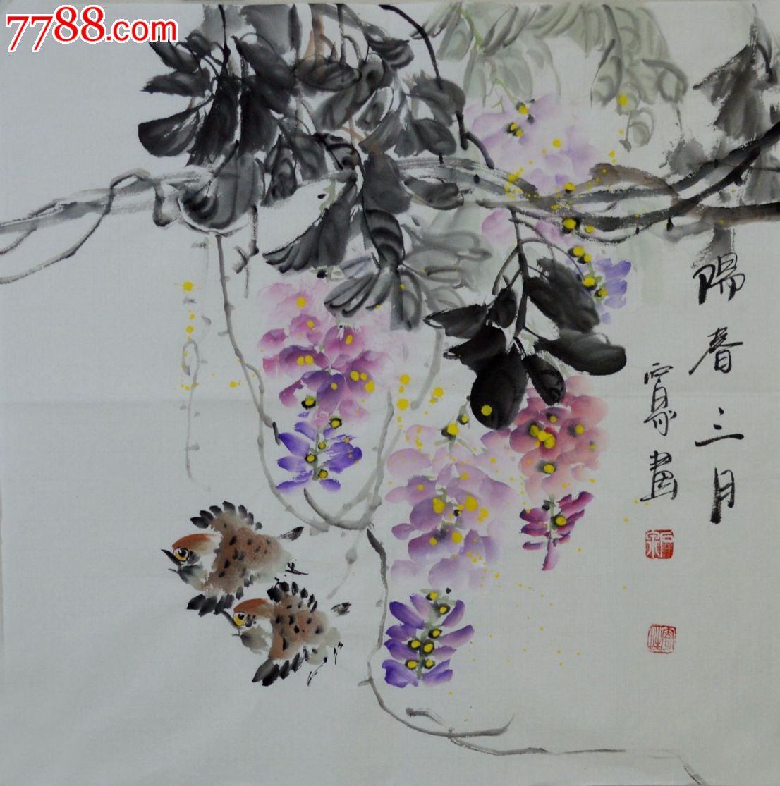 水墨写意花鸟画紫藤《阳春三月》,花鸟国画原作,花卉画原画,水墨/写意