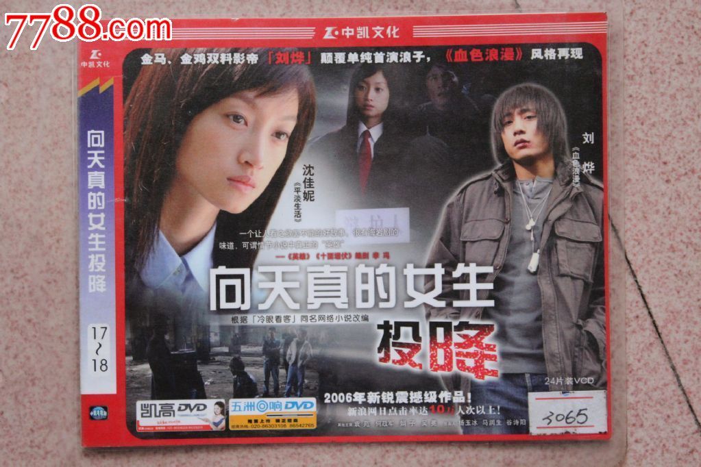 向天真的女生投降24集碟装vcd电视连续剧