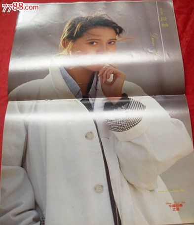 中国银幕总81期段岫贾宏声